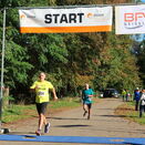 Staffort-Topiblüten